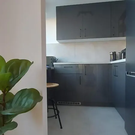 דירה Przy Basenie קטוביץ