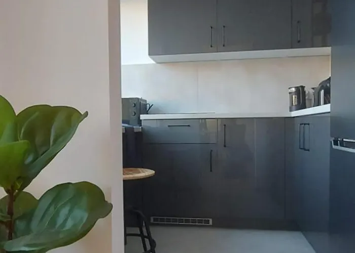 Διαμέρισμα Przy Basenie Κατοβίτσε